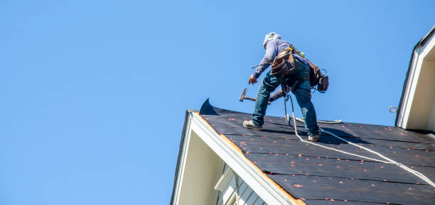 Best Roof Gutter Cleaning  in Snow Hill, MD